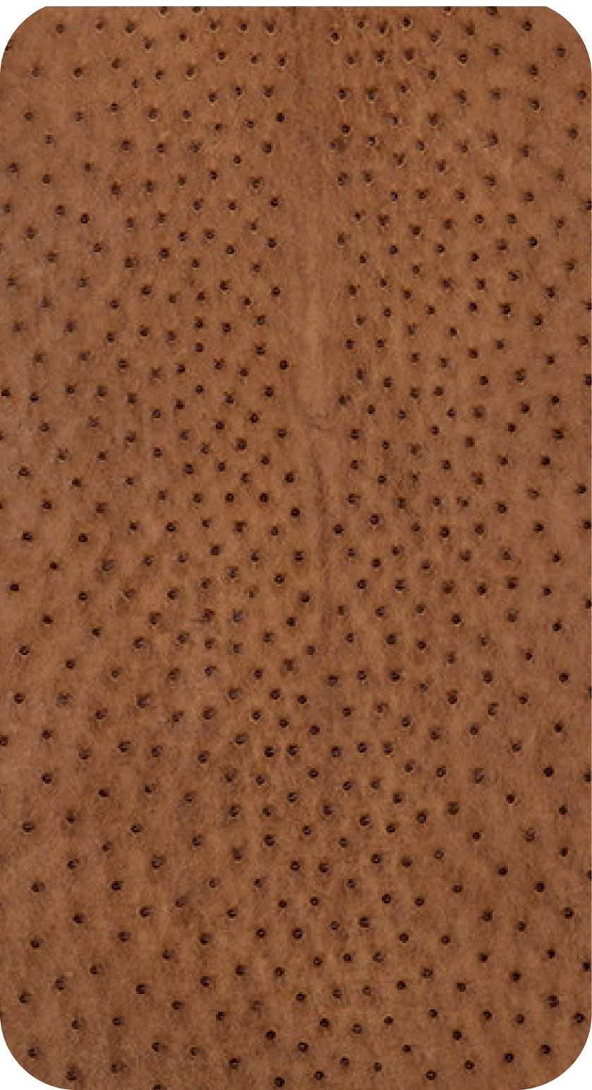 Ostrich leather texture from ZYDHNEY leather collection